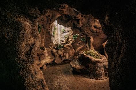 glimpse   grotto glen ivy