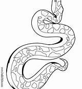 Rattlesnake Drawing Diamondback Coloring Snake Viper Template Paintingvalley sketch template