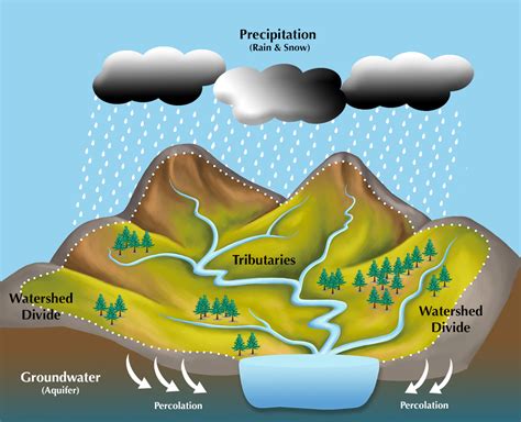 watershed  center  watershed protection