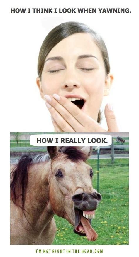 How I Really Yawn Funny Memes