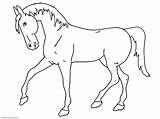 Sketsa Hewan Berkaki Mewarnai Empat Kuda Shets Cavalo sketch template