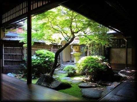 garden tree japanese style house japanese home design indoor zen garden
