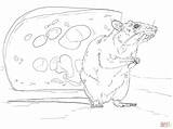Rat Coloring Pages Drawing Cute Outline Brown Rats Cheese Drawings Terrier Getdrawings Dot Cartoon Skip Main sketch template