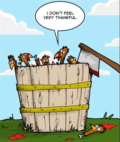 thankful lol humor all things funny funny humor give thanks