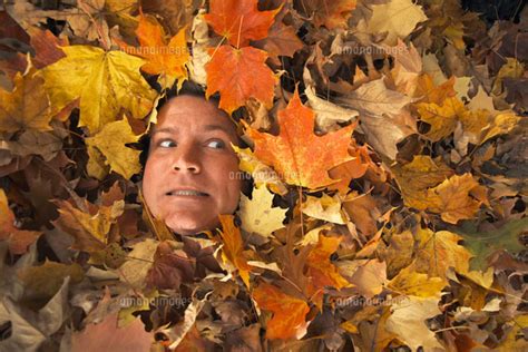 man buried  leaves