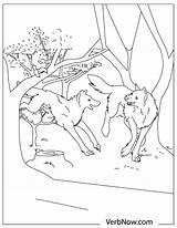 Wolves Verbnow sketch template