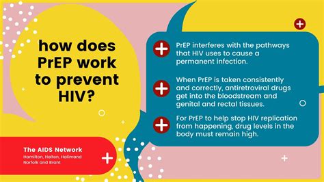 pre exposure prophylaxis prep aids network