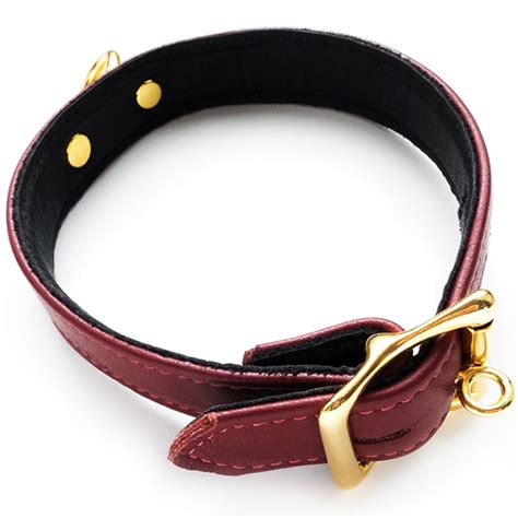 buy the jt signature collection brown leather locking collar with gold