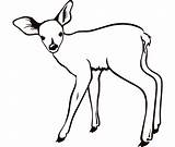 Deer Template Templates Blank Animal sketch template