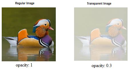 css image transparency opacity