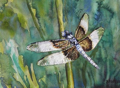 margarethe brummermann watercolors   bug painting
