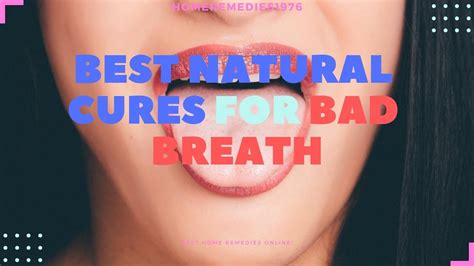 best natural cures for bad breath youtube