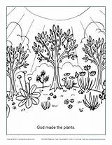 Coloring God Plants Made Bible Creation Pages Jesus Children Promises Holy Spirit Sheets Kids Colouring School Sunday Printable Activities Genesis sketch template