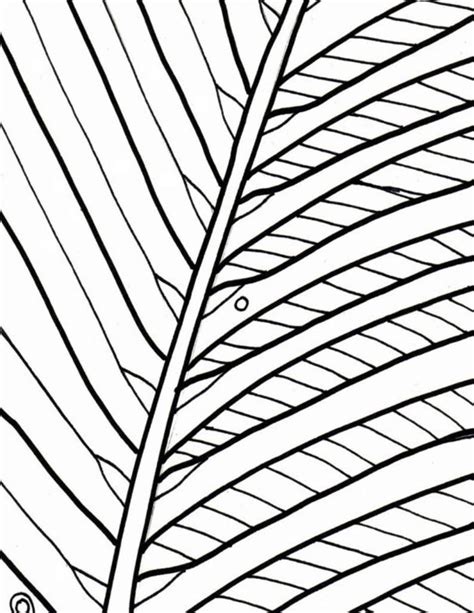 palm branch drawing    clipartmag