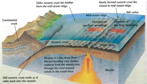 sea floor spreading  continental drift   theory  plate tectonics