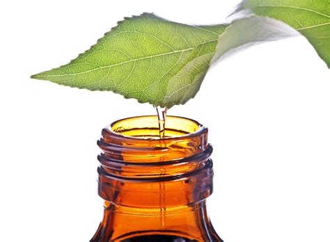 botanical extracts sp scientific