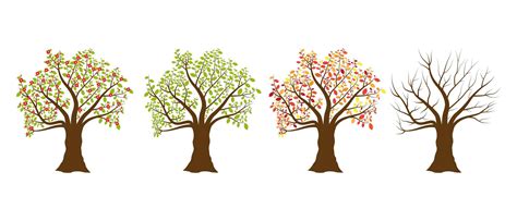 vier seizoenen bomen    vectors vector bestanden ontwerpen templates
