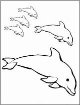 Dolphin Dolphins Delphine Delfini Colorare Nadando Golfinhos Familia Kostenlos Disegni Mermaid Ausmalbild Qdb Bestcoloringpagesforkids sketch template