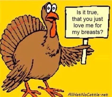 Funny Thanksgiving Eve Memes Funny Memes