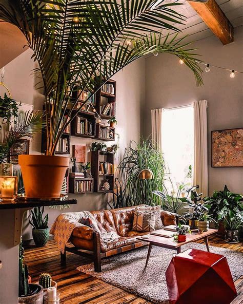 olivra homedecor  instagram      indoor jungle   tag