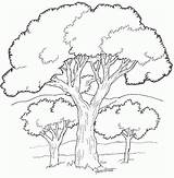 Deforestacion Colorear Imagui Forestal sketch template