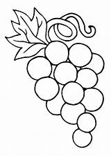 Coloring Grape Grapes Pages Ring Parentune Worksheets sketch template