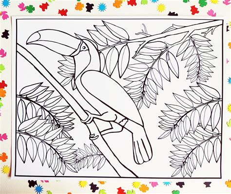 elegant toucan printable instant  jpeg  coloring etsy