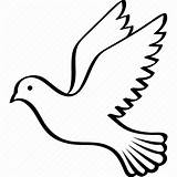 Dove Bird Icon Wings Pigeon Flying Peace Outline Clipart Drawing Line Columbidae Transparent Icons Animals Vector Spirit Holy Animal Open sketch template