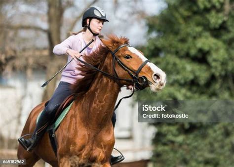 Kuvapankin Valokuva Otsikolla Nuori Kaunis Tyttö Ratsastaa Hevosella