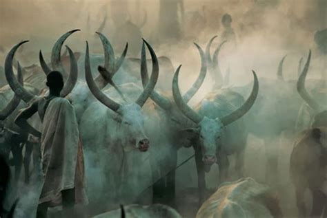 An Amazing Insight Into The Life Of The Dinka People Of Sudan Artfido