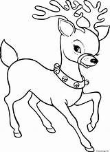 Reindeer Coloriage Renne Femelle Template Clip Becuo Nosed Rudolph Flying sketch template