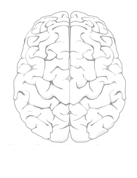 brain coloring page activity youcubed