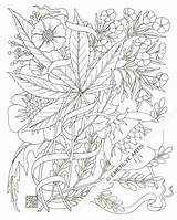 Coloring Pages Weed Adult Marijuana Stoner Stencil Leaf Printable Plant Drawing Books Hemp Color Pot Print Trippy Tattoo Colouring Jane sketch template