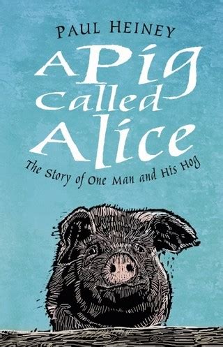 pig called alice   story   man   hog gleebookscomau