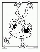 Coloring Frog Pages Pet Printable Cartoon Kids Pets Shop Cute Littlest Print Colouring Animal Little Frogs Baby Sheets Jr Color sketch template
