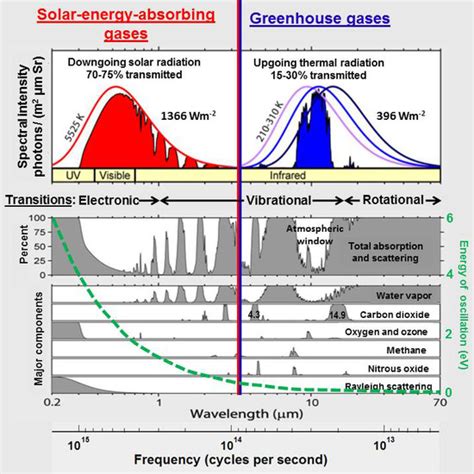 greenhouse gases absorb infrared radiation