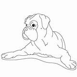 Boxer Coloring Pages Puppy Dog Drawing Drawings Draw Cute Line Dogs Printable Fun Color Animal Easy Kids Colouring Getcolorings Lessons sketch template