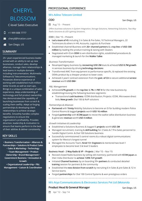 resume templates  executive positions