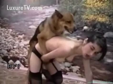 sex with german shepherd video porn porn clips