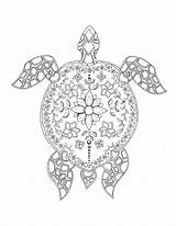 Tortue Colorier Dover sketch template