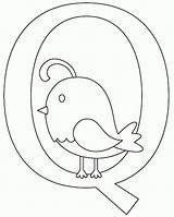 Quail Coloring Pages Aa Letter Choose Board sketch template