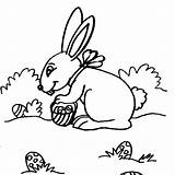 Lepre Coniglio Leprotto Pasqua Coniglietto Uova Coniglia Animali sketch template