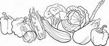 Verduras Kolorowanka Warzywa Frutas Cereales Warzyw Naklejka Komiks Redro Pietruszka Obraz Cartoon Prace Tego Materiały Powiązane Autora sketch template