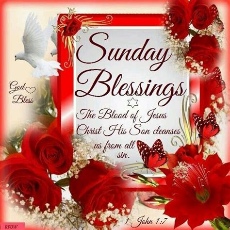 images  sunday blessings  pinterest lazy sunday good sunday morning