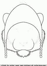 Coloring Tiger Hat sketch template