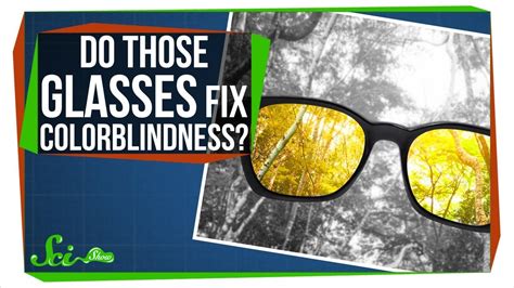Do Those Glasses Really Fix Colorblindness Youtube