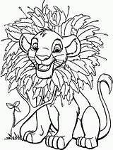 Coloring Lion King Pages Disney Simba Print Printable Head Sheets Flowers Everfreecoloring Popular Lionking Library Clipart Comments sketch template