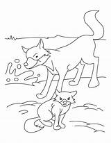 Fox Coloring Cub Pages Kids sketch template