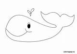 Whale Coloring Kids Colouring Pages Coloringpage Eu Animal Visit sketch template