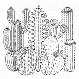 Coloring Pages Cactus Adult Mandala Book Printable Books Choose Board sketch template